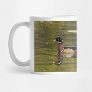 Male Wood Duck - Mud Lake Mug
